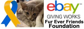 ebay sales for Fur Ever Friends Foundation